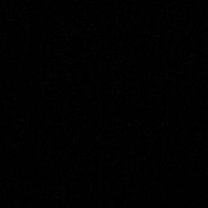 Meet your Posher, Angelica